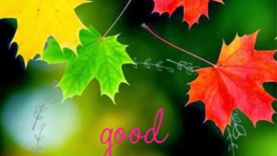 Photo of Great morning good morning image