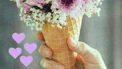 Photo of Gud mor images good morning image