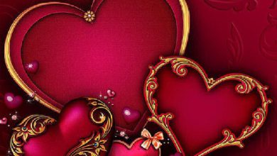Photo of Love heart still love heart photo