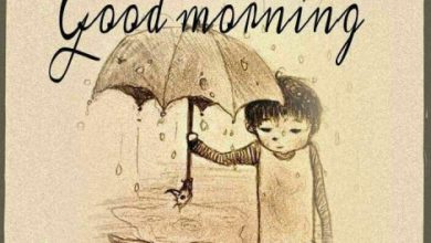 Photo of Morning wishes good morning image