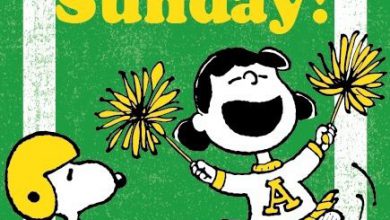 Animated Happy Sunday Sunday images and quotes 390x220 - Animated Happy Sunday Sunday images and quotes
