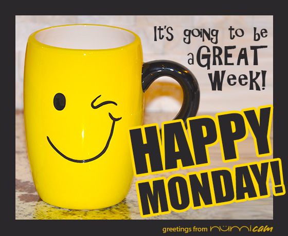 Gif Happy Monday Monday images - Gif Happy Monday Monday images