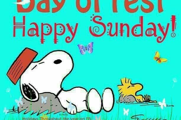 Photo of Good Morning And Happy Sunday Quotes Sunday images and quotes