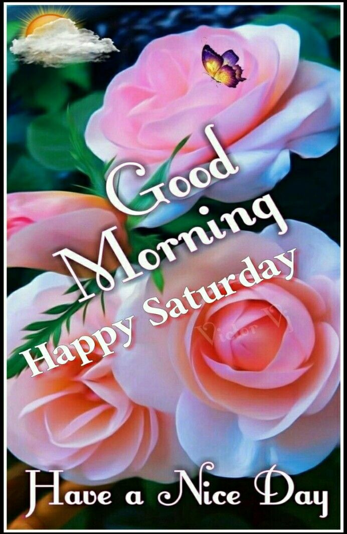 Good Morning Have A Blessed Sunday Saturday images - Good Morning Have A Blessed Sunday Saturday images