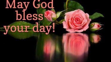 Happy Blessed Sunday Quotes Saturday images 390x220 - Happy Blessed Sunday Quotes Saturday images