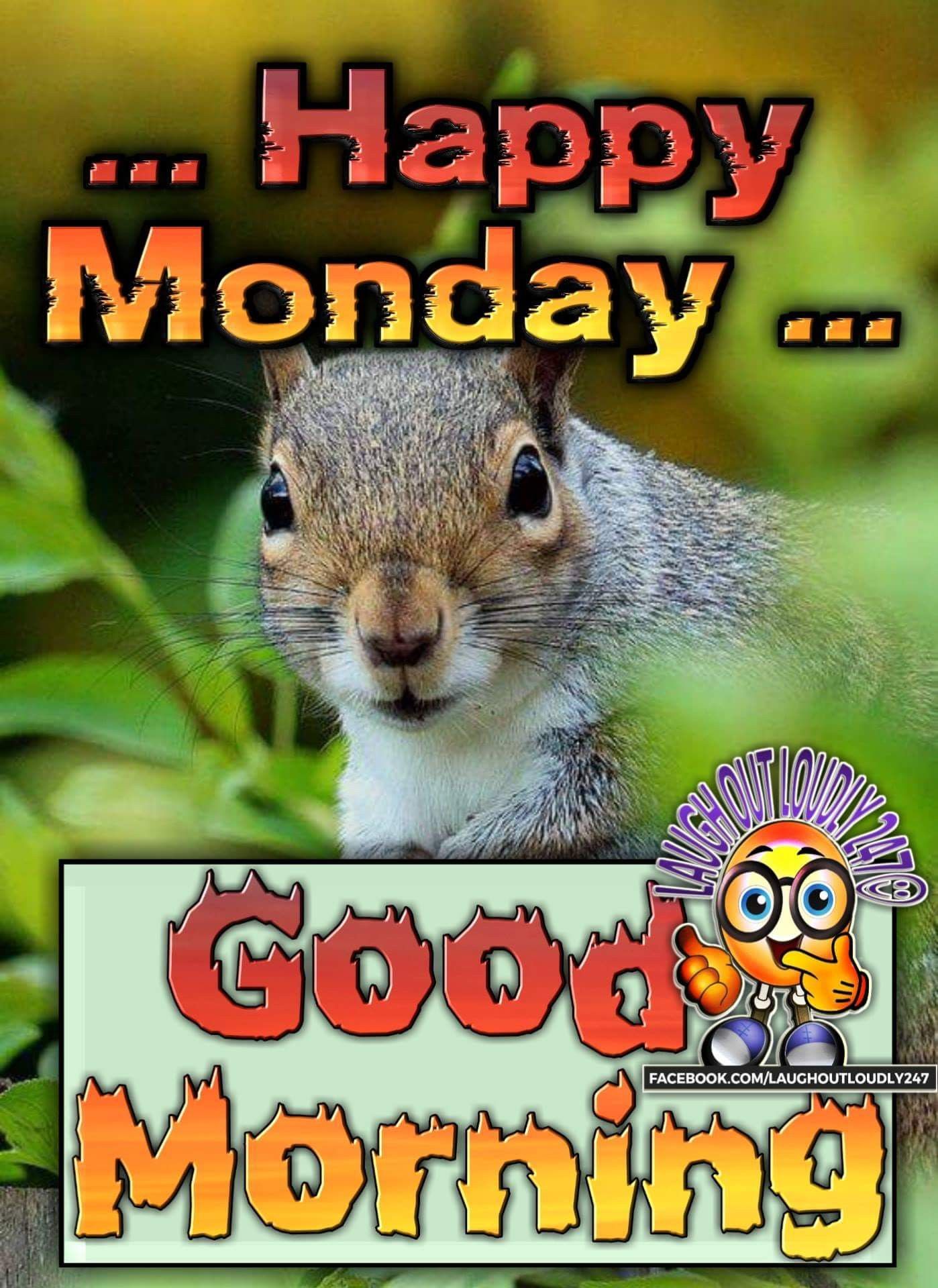 Happy Monday Photo Monday images - Happy Monday Photo Monday images
