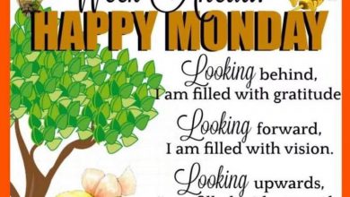Happy Monday Quotes Monday images 390x220 - Happy Monday Quotes Monday images