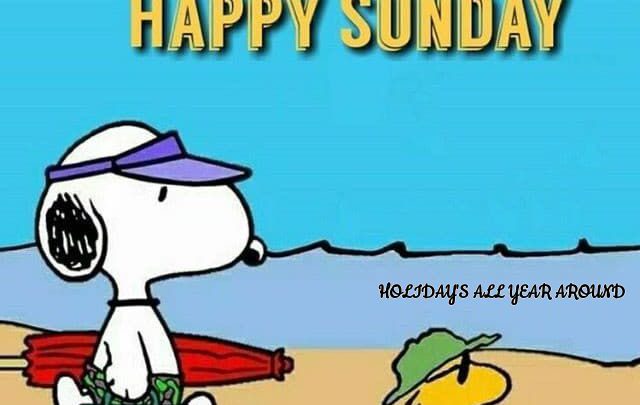 Photo of Happy Sunday Images Funny Sunday images and quotes