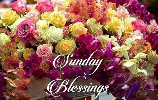 Photo of Happy Sunday Wishes Text Sunday images and quotes