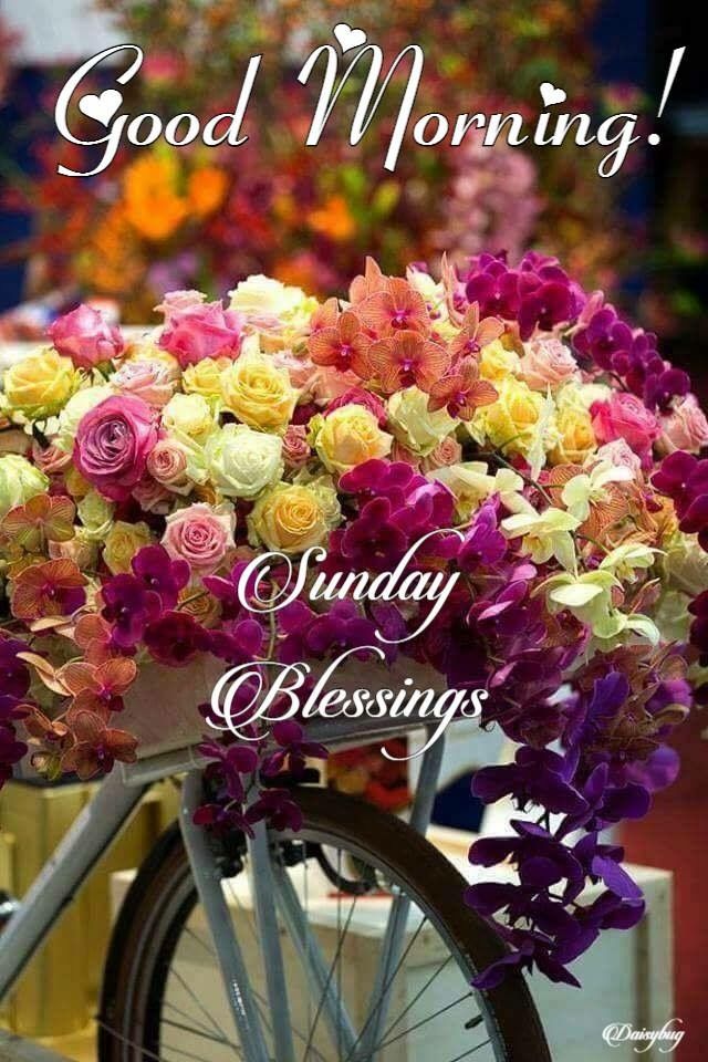 Happy Sunday Wishes Text Sunday images and quotes - Happy Sunday Wishes Text Sunday images and quotes