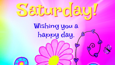 Have A Nice Sunday Images Saturday images 390x220 - Have A Nice Sunday Images Saturday images