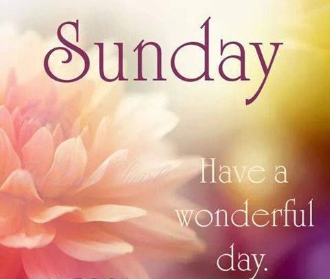 Photo of Have A Nice Sunday Quotes Sunday images and quotes