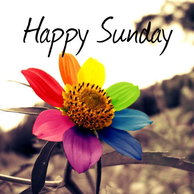 Photo Happy Sunday Sunday images and quotes - Photo Happy Sunday Sunday images and quotes