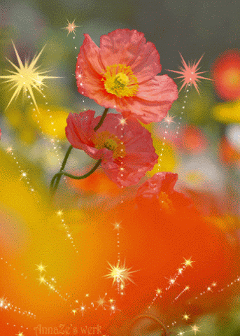 Rose Flower Animation romantic gif flowers – gifaya